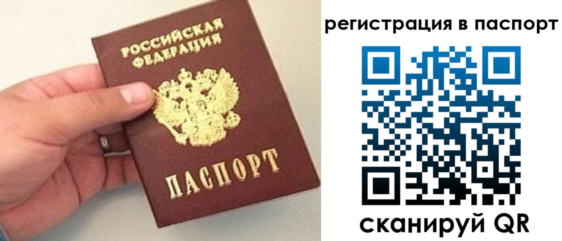 прописка законно в Дрезне